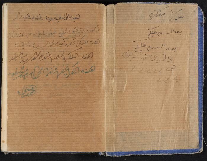 The Diaries of Fandi Mhanna, Buqei'a- Upper Galilee, 1948-1950