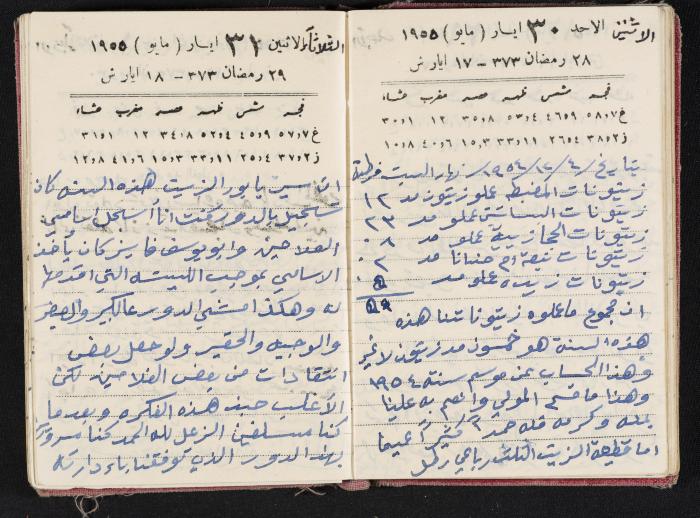 The Diaries of Fandi Mhanna, Buqei'a- Upper Galilee, 1954-1955