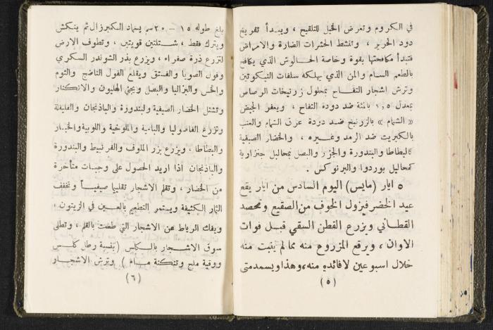 The Diaries of Fandi Mhanna, Buqei'a- Upper Galilee, 1960 and 1970 