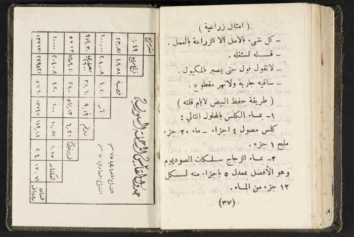 The Diaries of Fandi Mhanna, Buqei'a- Upper Galilee, 1960 and 1970 