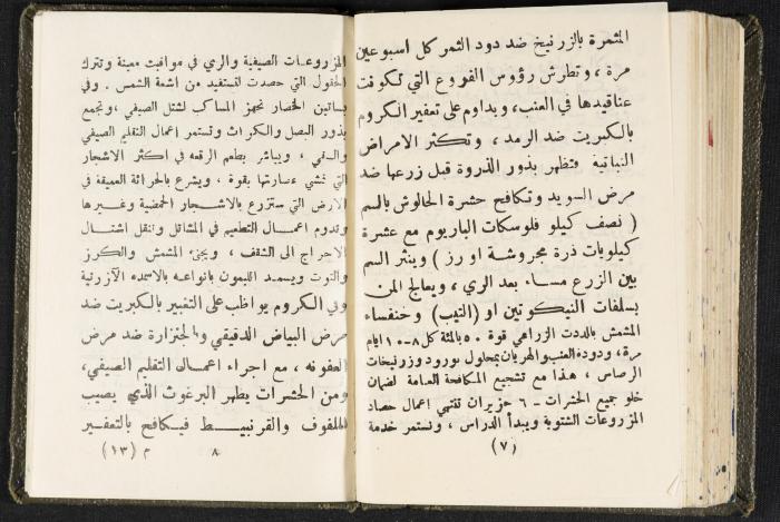 The Diaries of Fandi Mhanna, Buqei'a- Upper Galilee, 1960 and 1970 