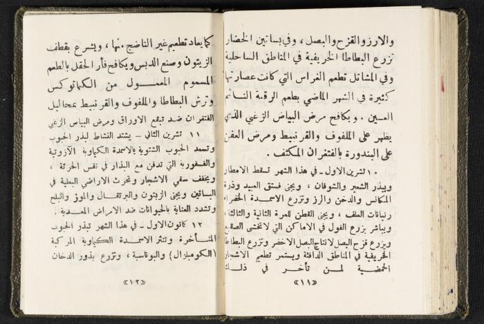 The Diaries of Fandi Mhanna, Buqei'a- Upper Galilee, 1960 and 1970 