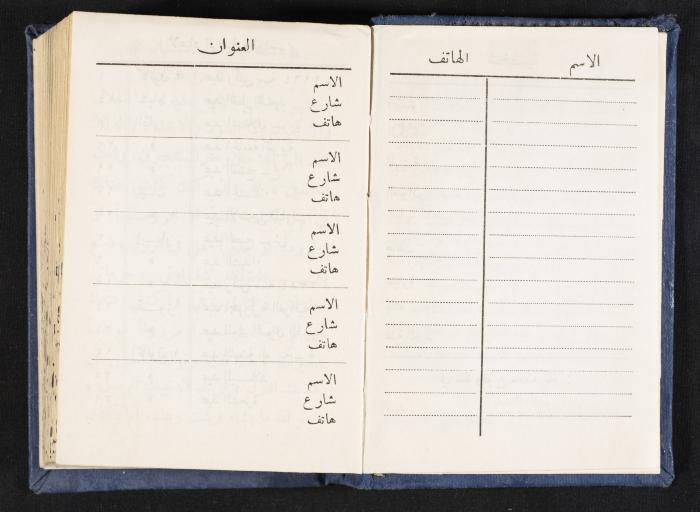 The Diaries of Fandi Mhanna, Buqei'a- Upper Galilee, 1964-1965