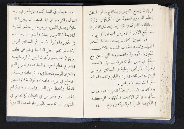 The Diaries of Fandi Mhanna, Buqei'a- Upper Galilee, 1964-1965