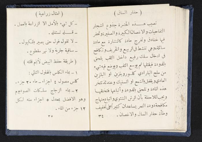 The Diaries of Fandi Mhanna, Buqei'a- Upper Galilee, 1964-1965