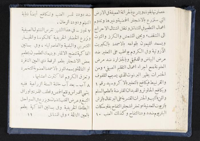 The Diaries of Fandi Mhanna, Buqei'a- Upper Galilee, 1964-1965