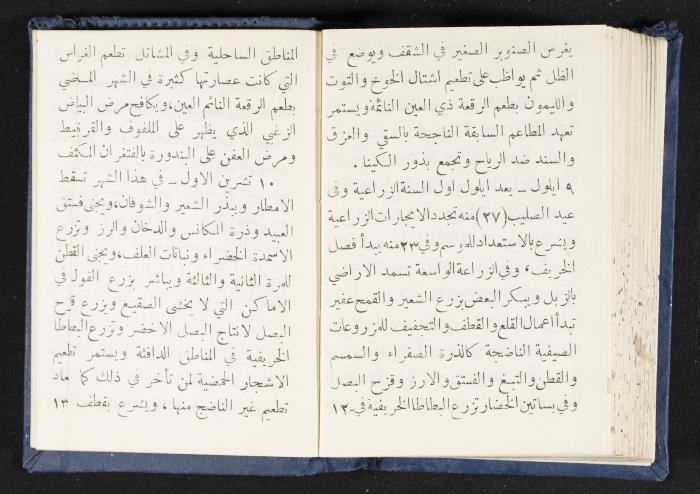 The Diaries of Fandi Mhanna, Buqei'a- Upper Galilee, 1964-1965