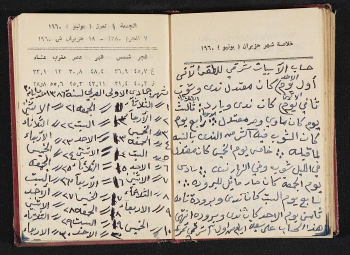 The Diaries of Fandi Mhanna, Buqei'a- Upper Galilee, 1965-1966