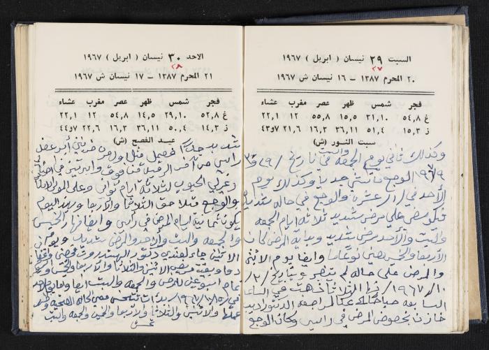 دفتر يوميات فندي مهنا، البقعية- الجليل الأعلى، 1967-1968