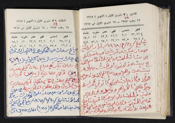 دفتر يوميات فندي مهنا، البقعية- الجليل الأعلى، 1967-1968