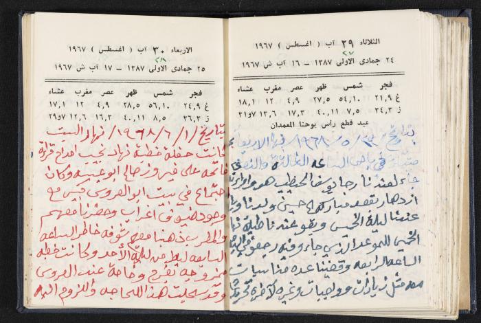 دفتر يوميات فندي مهنا، البقعية- الجليل الأعلى، 1967-1968