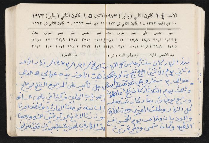 دفتر يوميات فندي مهنا، البقيعة- الجليل الأعلى، 1973 و1981-1983