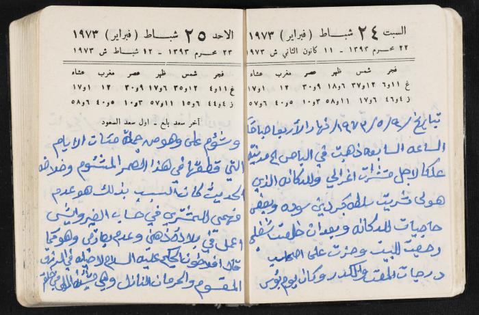 دفتر يوميات فندي مهنا، البقيعة- الجليل الأعلى، 1973 و1981-1983