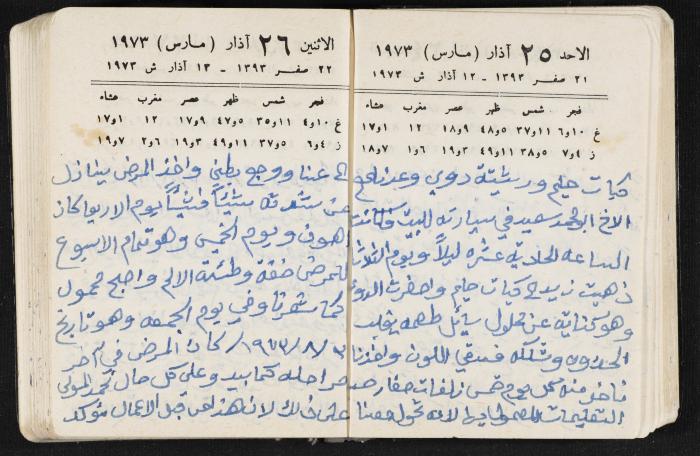 دفتر يوميات فندي مهنا، البقيعة- الجليل الأعلى، 1973 و1981-1983
