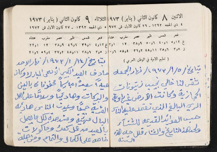 دفتر يوميات فندي مهنا، البقيعة- الجليل الأعلى، 1973 و1981-1983