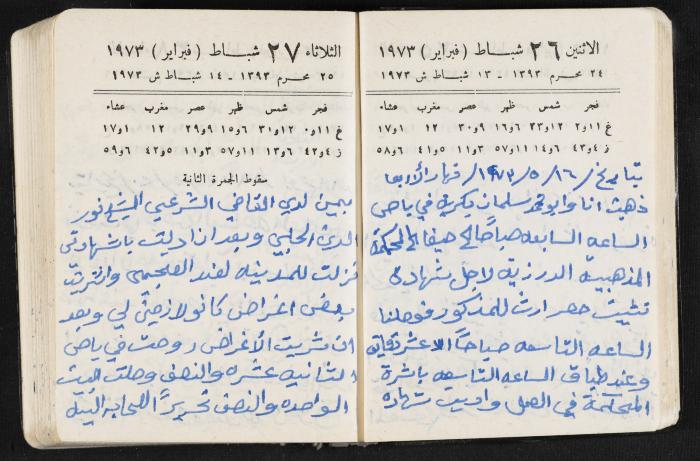 دفتر يوميات فندي مهنا، البقيعة- الجليل الأعلى، 1973 و1981-1983