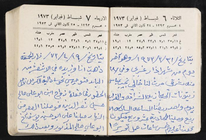دفتر يوميات فندي مهنا، البقيعة- الجليل الأعلى، 1973 و1981-1983