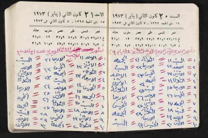 دفتر يوميات فندي مهنا، البقيعة- الجليل الأعلى، 1973 و1981-1983
