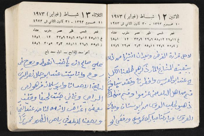 دفتر يوميات فندي مهنا، البقيعة- الجليل الأعلى، 1973 و1981-1983