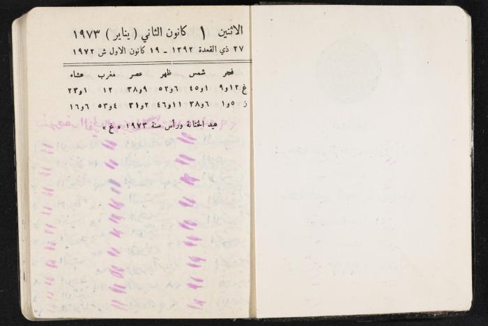 دفتر يوميات فندي مهنا، البقيعة- الجليل الأعلى، 1973 و1981-1983