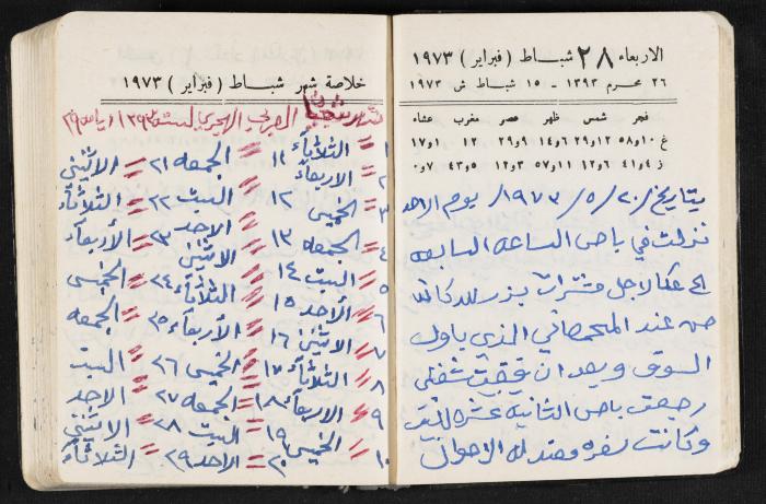 دفتر يوميات فندي مهنا، البقيعة- الجليل الأعلى، 1973 و1981-1983