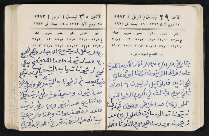 دفتر يوميات فندي مهنا، البقيعة- الجليل الأعلى، 1973 و1981-1983
