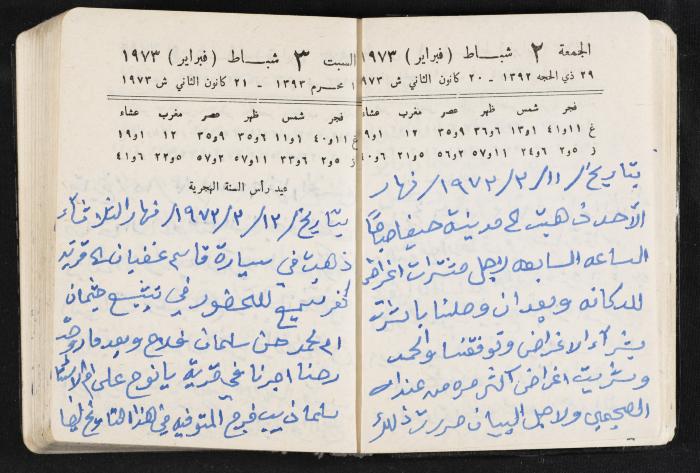 دفتر يوميات فندي مهنا، البقيعة- الجليل الأعلى، 1973 و1981-1983