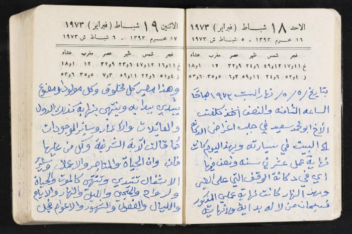 دفتر يوميات فندي مهنا، البقيعة- الجليل الأعلى، 1973 و1981-1983