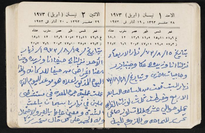 دفتر يوميات فندي مهنا، البقيعة- الجليل الأعلى، 1973 و1981-1983