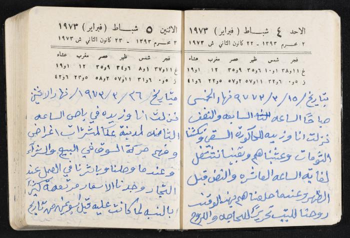 دفتر يوميات فندي مهنا، البقيعة- الجليل الأعلى، 1973 و1981-1983
