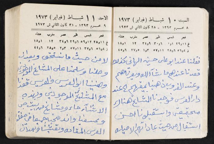 دفتر يوميات فندي مهنا، البقيعة- الجليل الأعلى، 1973 و1981-1983
