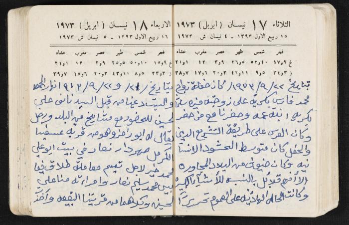 دفتر يوميات فندي مهنا، البقيعة- الجليل الأعلى، 1973 و1981-1983