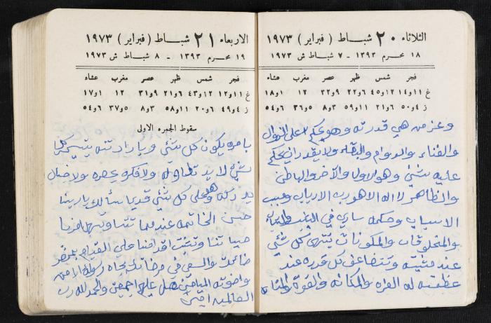 دفتر يوميات فندي مهنا، البقيعة- الجليل الأعلى، 1973 و1981-1983