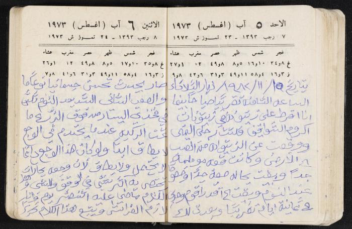 دفتر يوميات فندي مهنا، البقيعة- الجليل الأعلى، 1973 و1981-1983