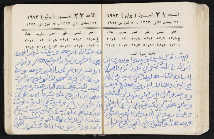 دفتر يوميات فندي مهنا، البقيعة- الجليل الأعلى، 1973 و1981-1983