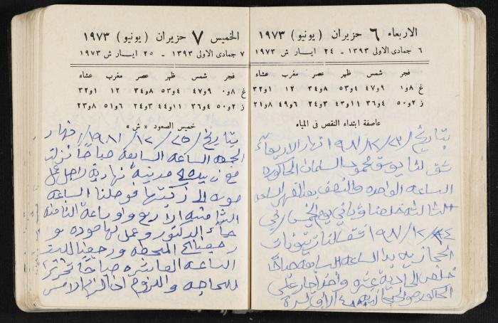 دفتر يوميات فندي مهنا، البقيعة- الجليل الأعلى، 1973 و1981-1983