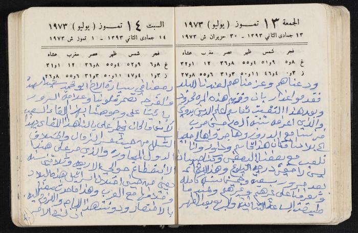 دفتر يوميات فندي مهنا، البقيعة- الجليل الأعلى، 1973 و1981-1983