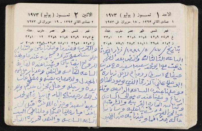 دفتر يوميات فندي مهنا، البقيعة- الجليل الأعلى، 1973 و1981-1983