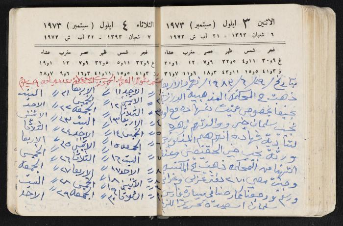 دفتر يوميات فندي مهنا، البقيعة- الجليل الأعلى، 1973 و1981-1983