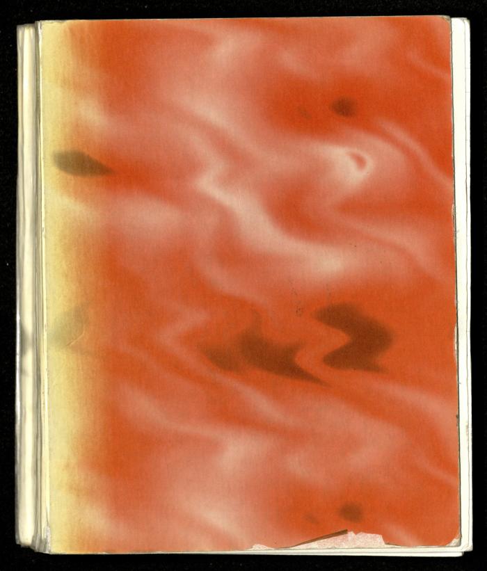 The Diaries of Fandi Mhanna, Buqei'a- Upper Galilee, 1997-2002