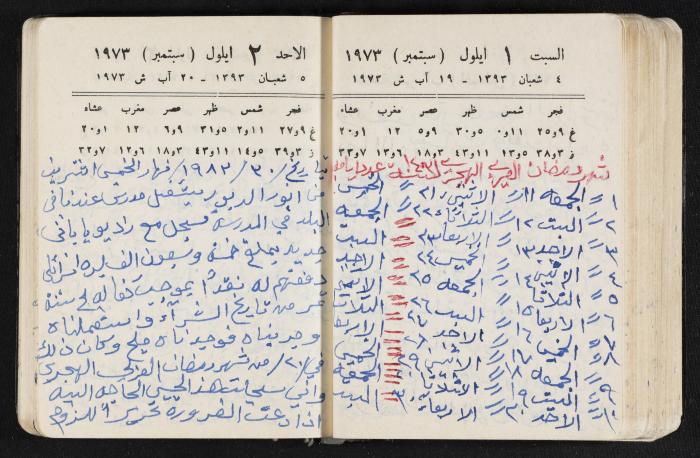 دفتر يوميات فندي مهنا، البقيعة- الجليل الأعلى، 1973 و1981-1983