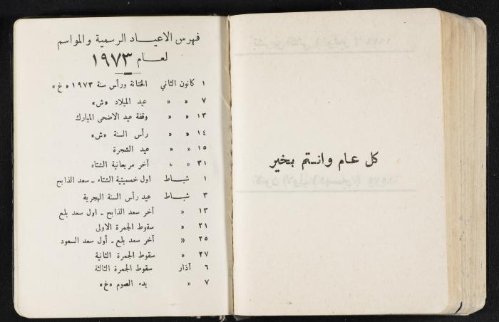 دفتر يوميات فندي مهنا، البقيعة- الجليل الأعلى، 1973 و1981-1983