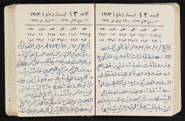 دفتر يوميات فندي مهنا، البقيعة- الجليل الأعلى، 1973 و1981-1983