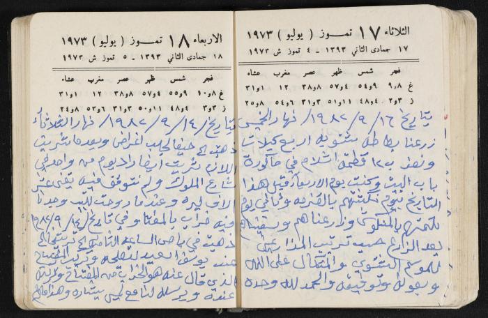 دفتر يوميات فندي مهنا، البقيعة- الجليل الأعلى، 1973 و1981-1983