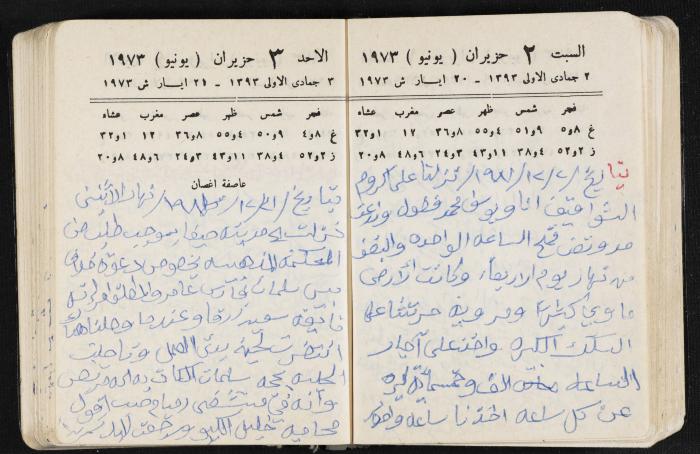 دفتر يوميات فندي مهنا، البقيعة- الجليل الأعلى، 1973 و1981-1983