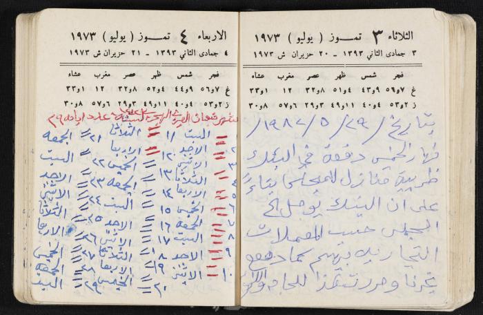 دفتر يوميات فندي مهنا، البقيعة- الجليل الأعلى، 1973 و1981-1983