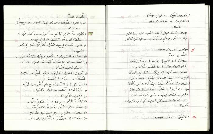 The Diaries of Fandi Mhanna, Buqei'a- Upper Galilee, 1997-2002