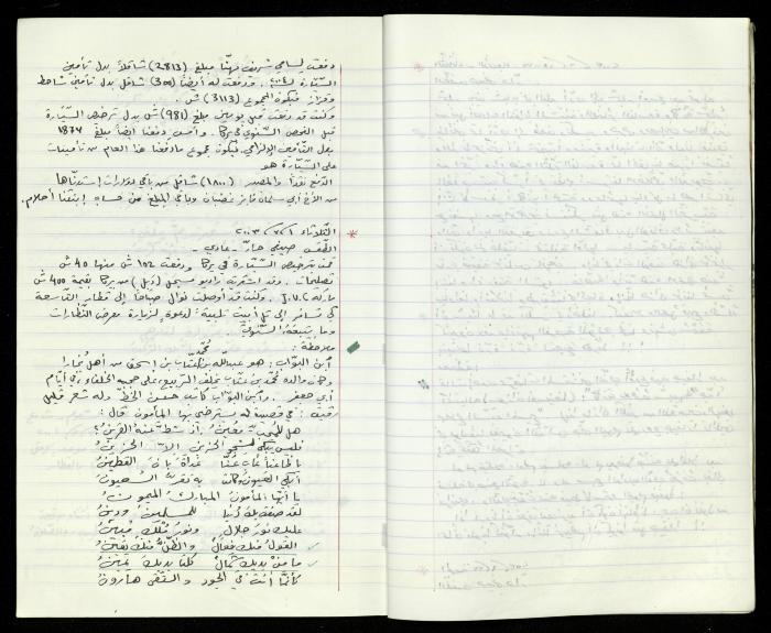 The Diaries of Fandi Mhanna, Buqei'a- Upper Galilee, 2002-2009