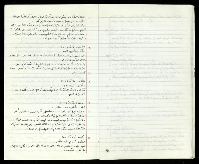 The Diaries of Fandi Mhanna, Buqei'a- Upper Galilee, 2002-2009
