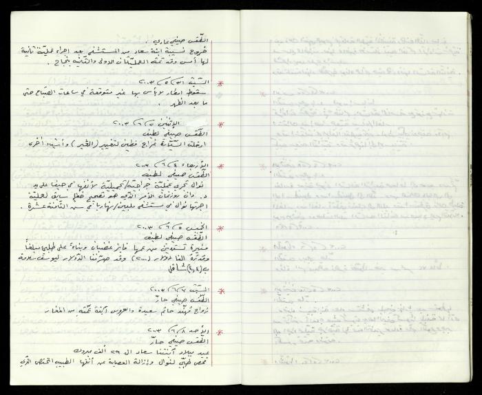 The Diaries of Fandi Mhanna, Buqei'a- Upper Galilee, 2002-2009